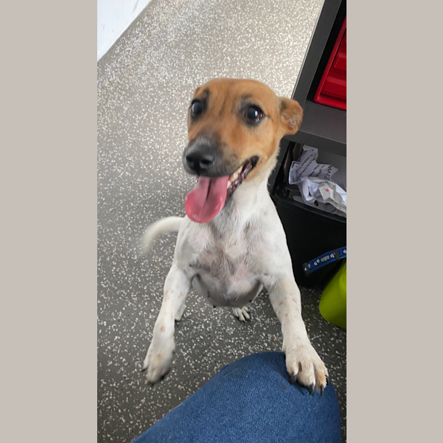 Photo of Frankie 💕💕💕