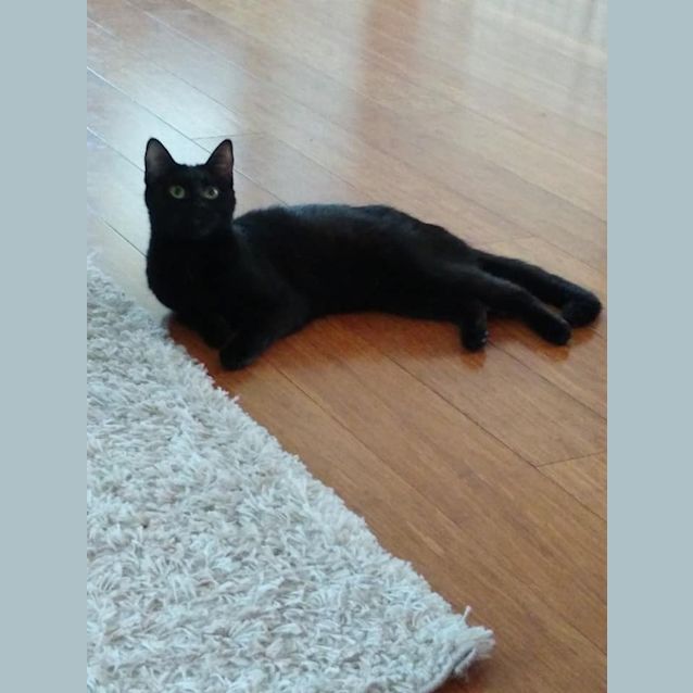 Photo of Velvet 