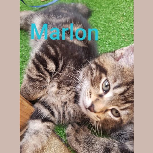 Photo of Marlon
