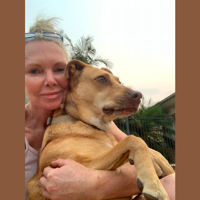 Photo of Belle (Now On Trial Adoption)