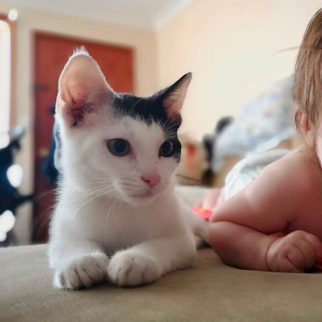 Photo of Zoro ⚡️