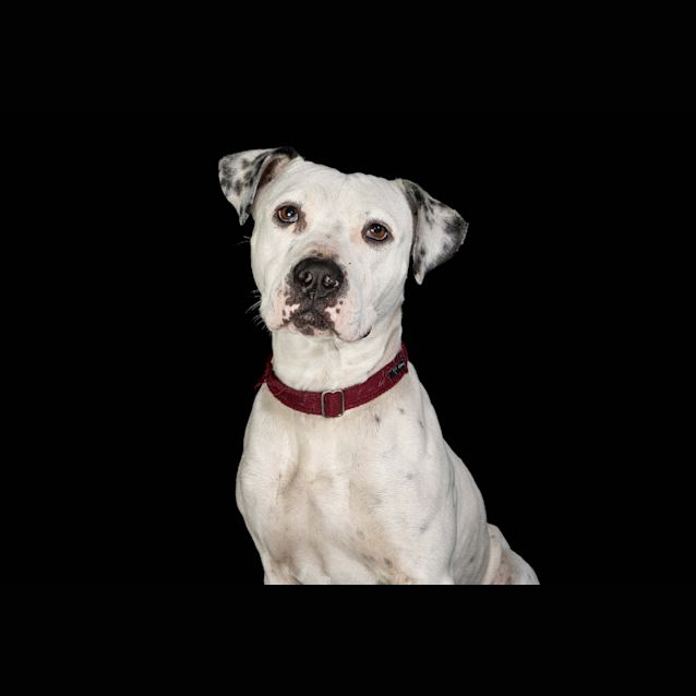 Photo of Nora