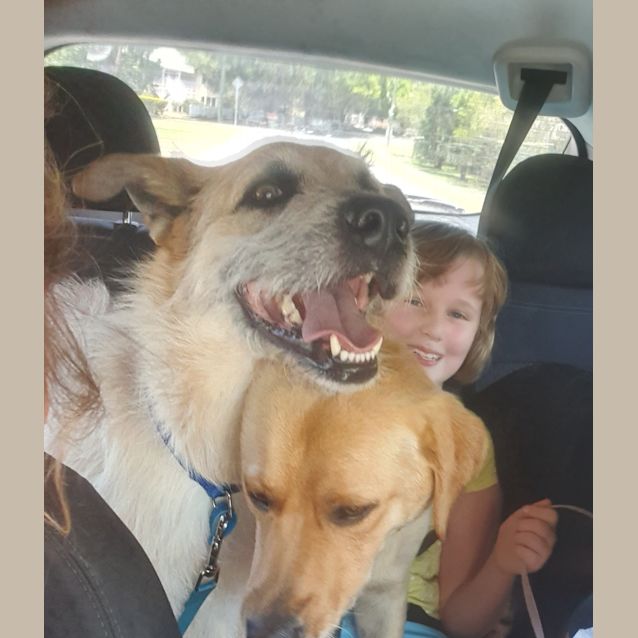 Photo of Zeus 