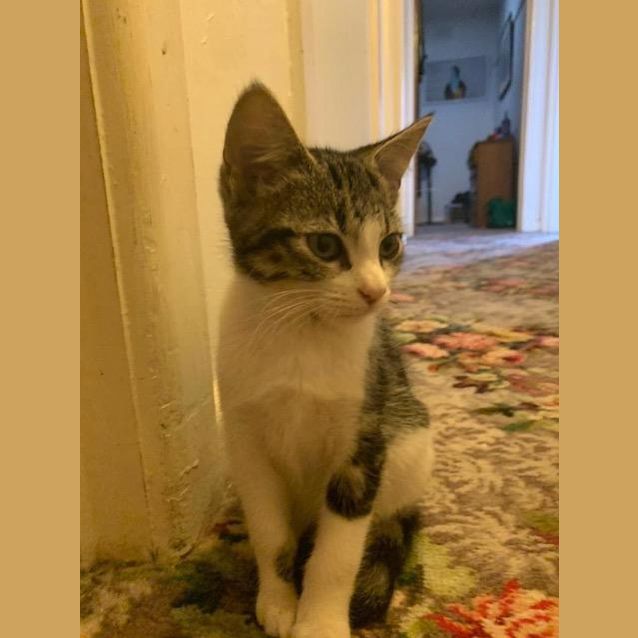 Photo of Fred (Now Spring)