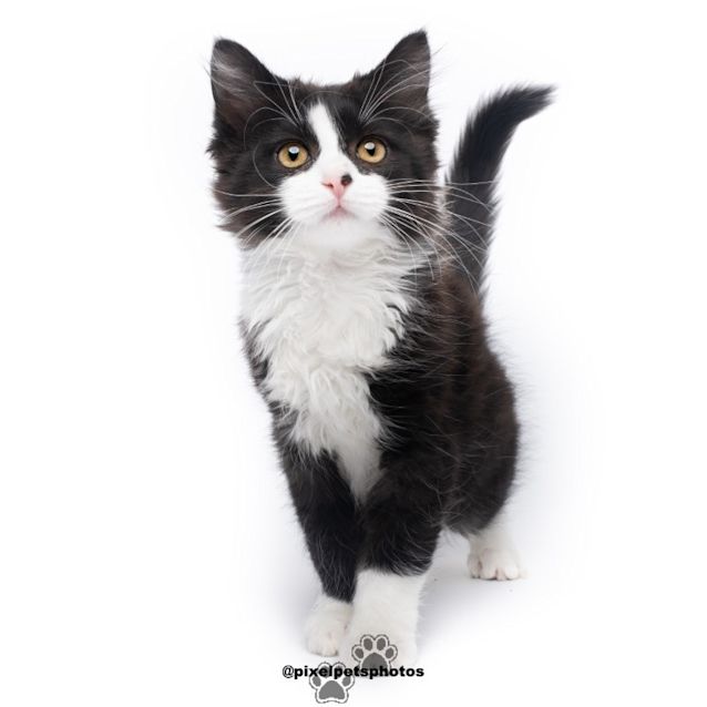 Photo of Miss Poppy