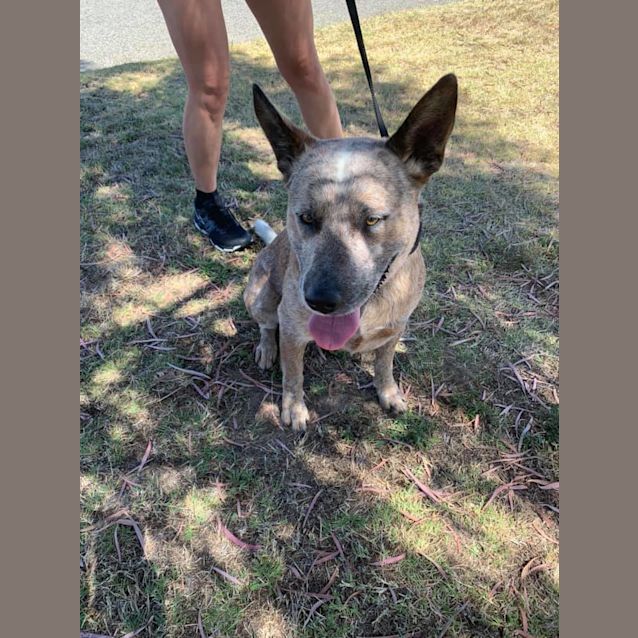 Photo of Zeus Dl2346