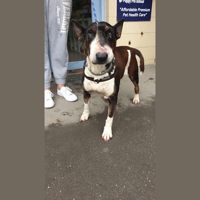 Photo of Hanna   Foster Carer Needed