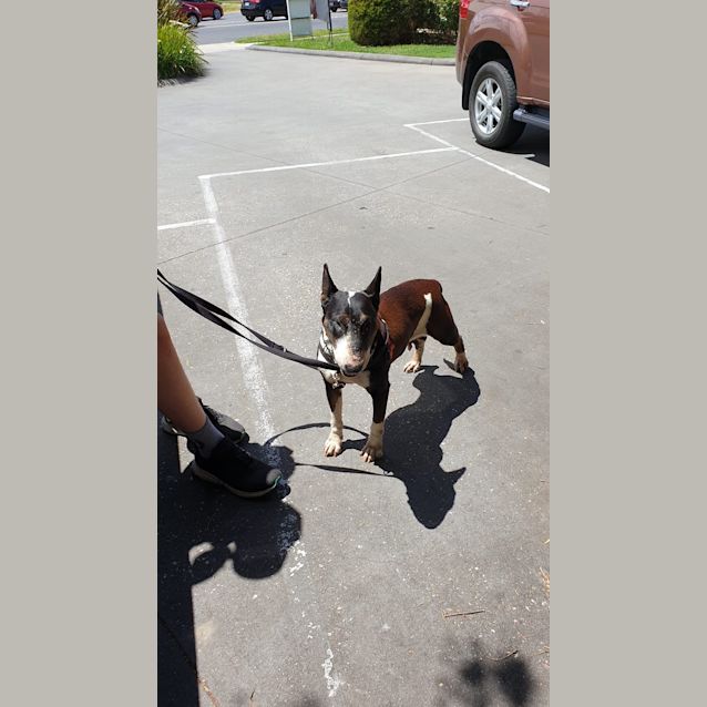 Photo of Hanna   Foster Carer Needed