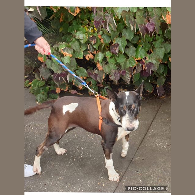 Photo of Hanna   Foster Carer Needed