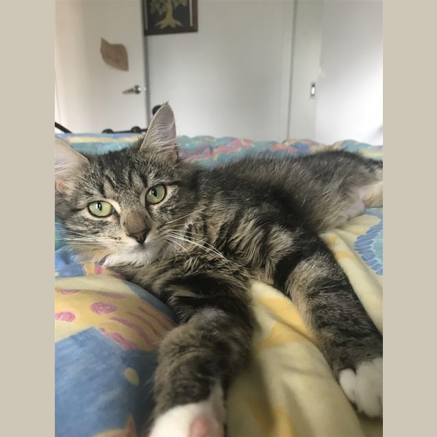 Photo of Delilah