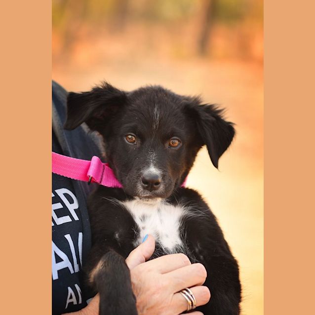 Photo of Lotus And Lenny