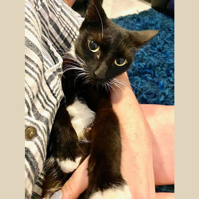 Photo of Belle
