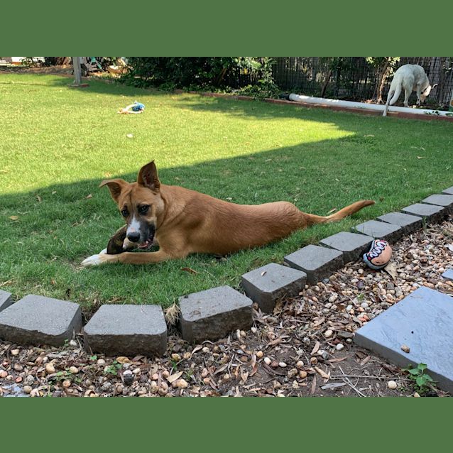 Photo of Tank 
