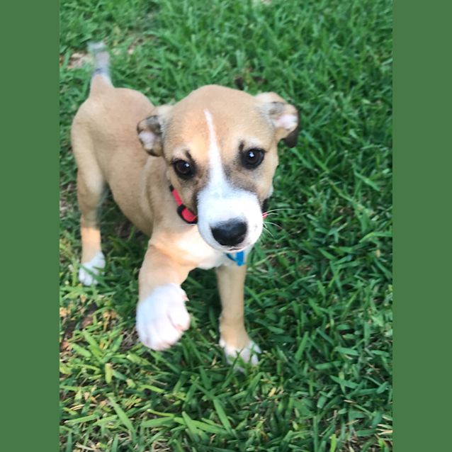Photo of Bonnie 