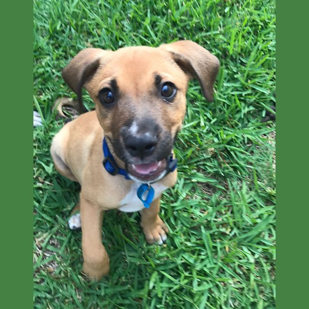 Photo of Clyde 
