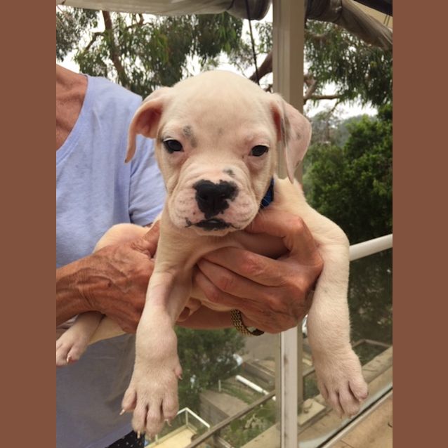 Photo of Arnie