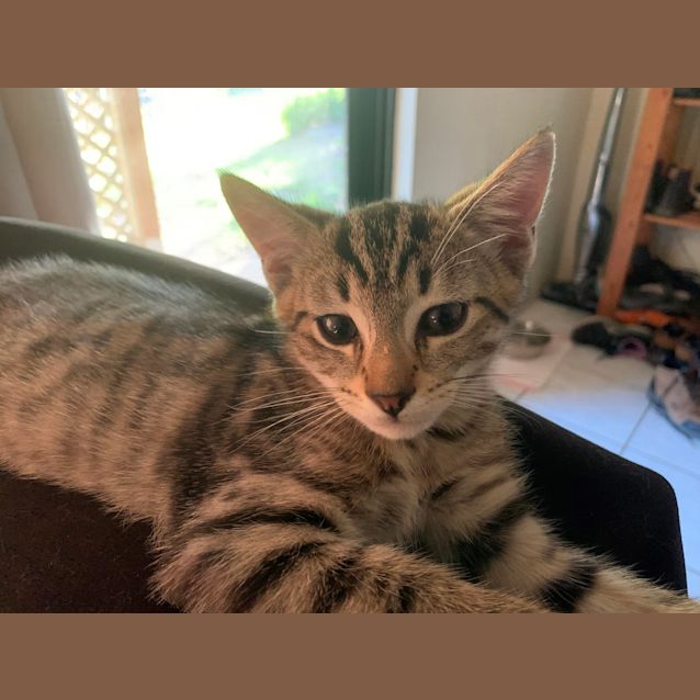 Photo of Silver