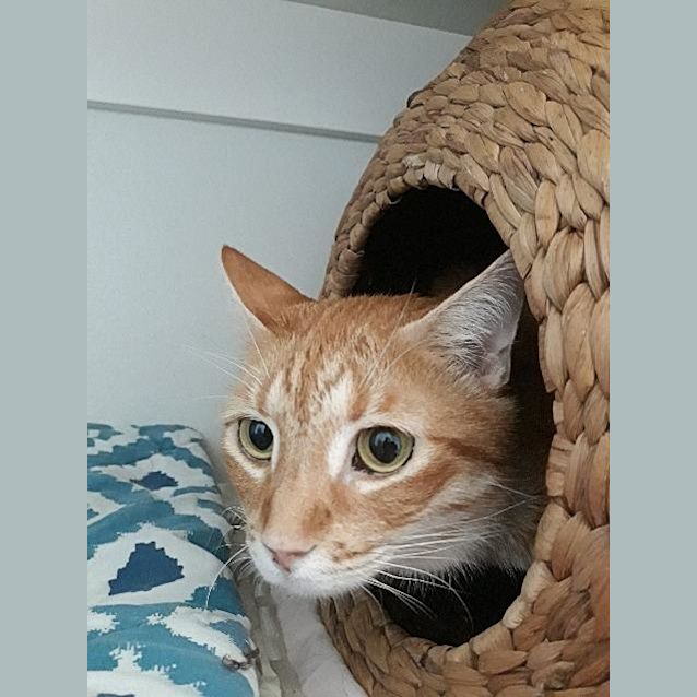 Photo of Meggsie
