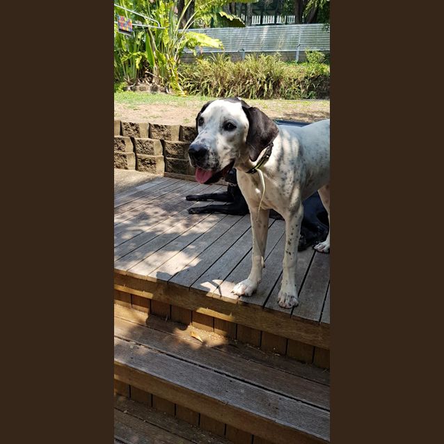 Photo of Cleo