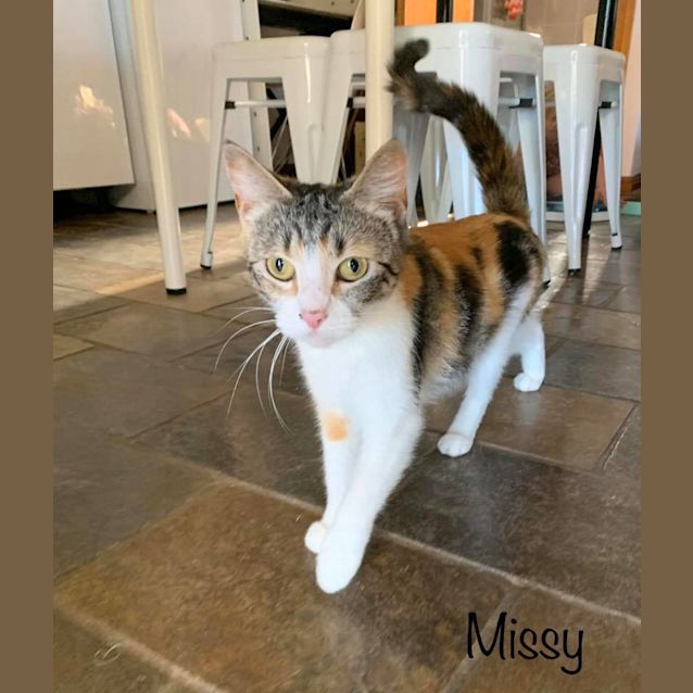 Photo of Missy
