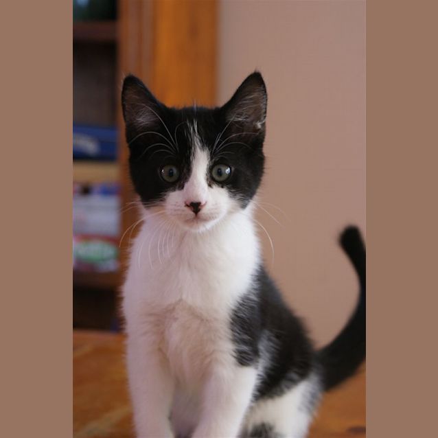 Photo of Angel