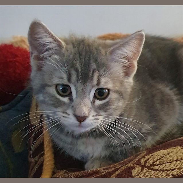 Photo of Ash