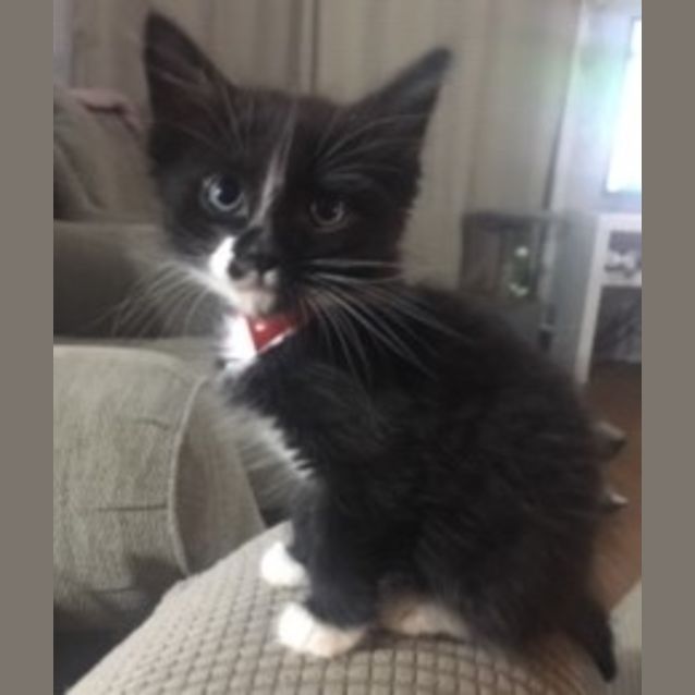 Photo of Billi