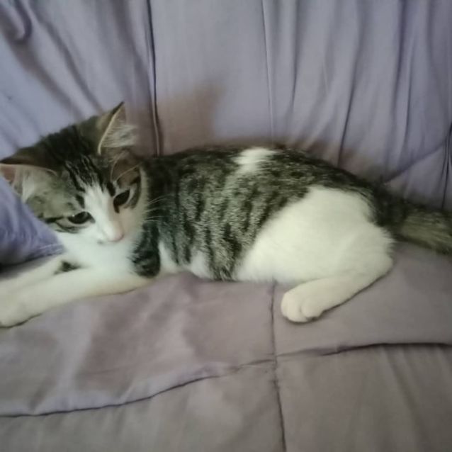 Photo of Diablo