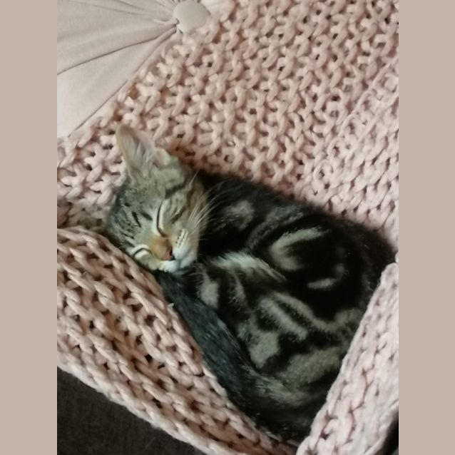 Photo of Tasha