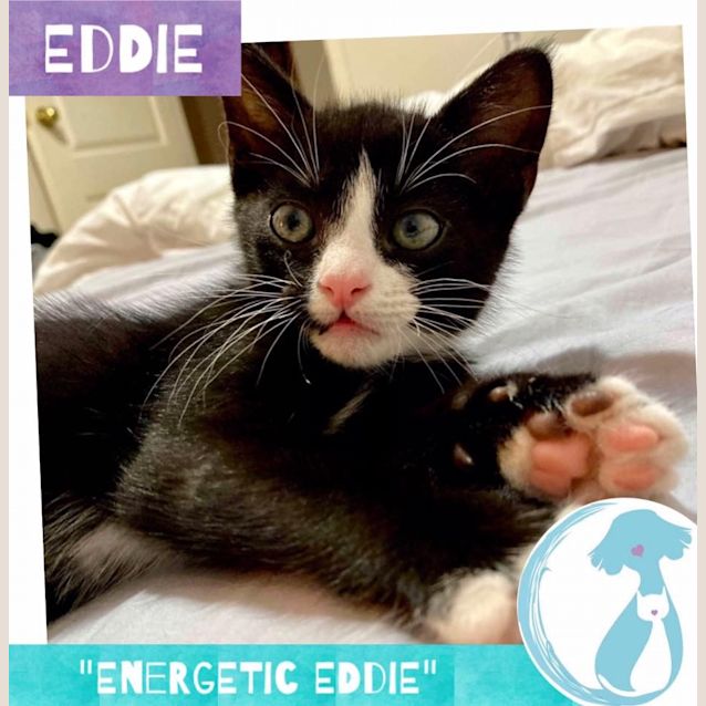 Photo of Eddie