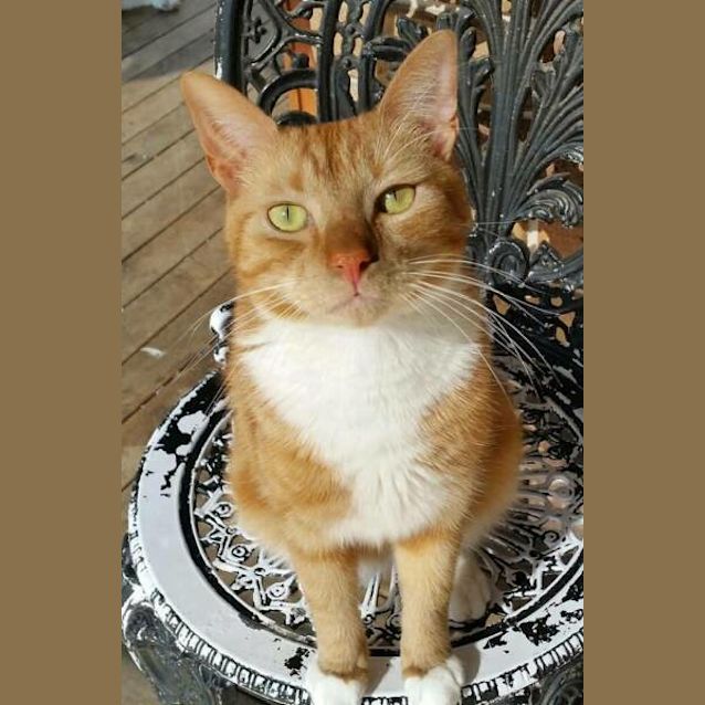 Photo of Mortimer