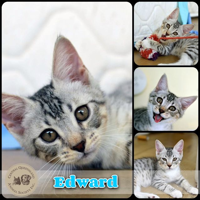 Photo of Edward