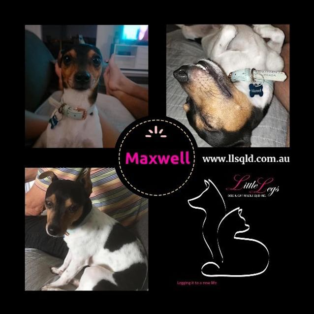 Photo of Maxwell