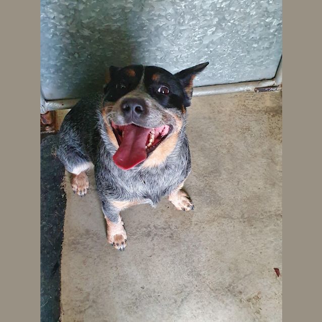 Photo of Max