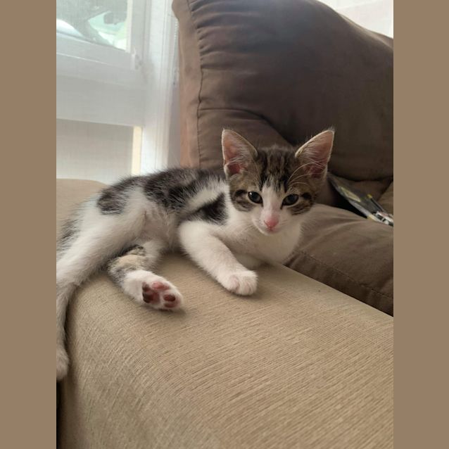 Photo of Thor ❤