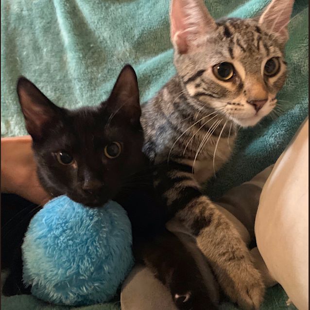 Photo of Kenji And Toshi