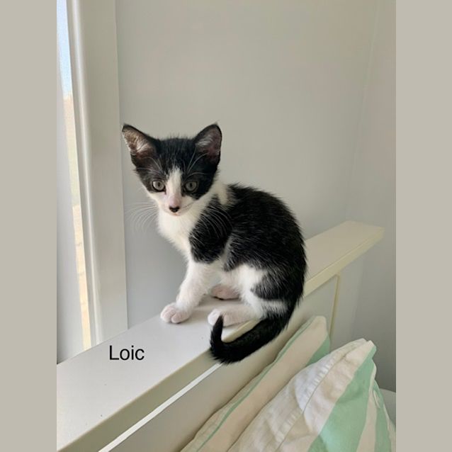 Photo of Loic