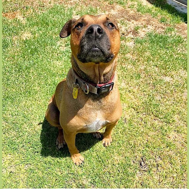 Photo of Freya D0126