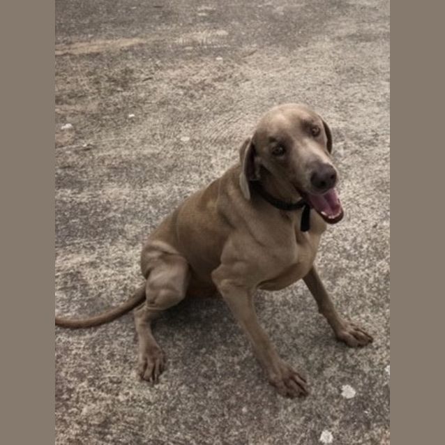 Photo of Arnold And Hilde