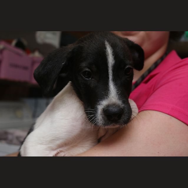 Photo of Levi