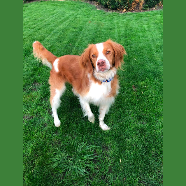 Photo of Henry 