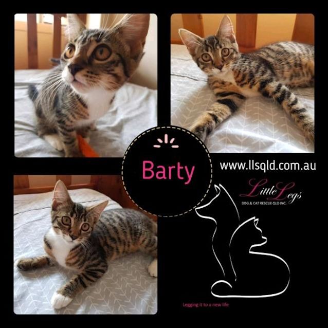 Photo of Barty
