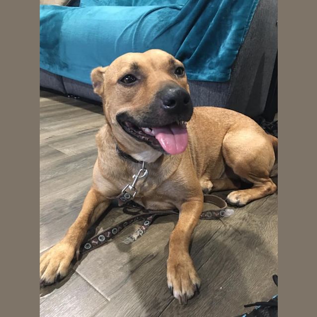 Photo of Cleo Dl2353