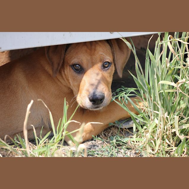 Photo of Rogue 😍
