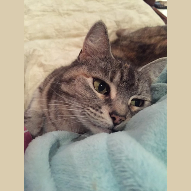 Photo of Sweet Pea 💞