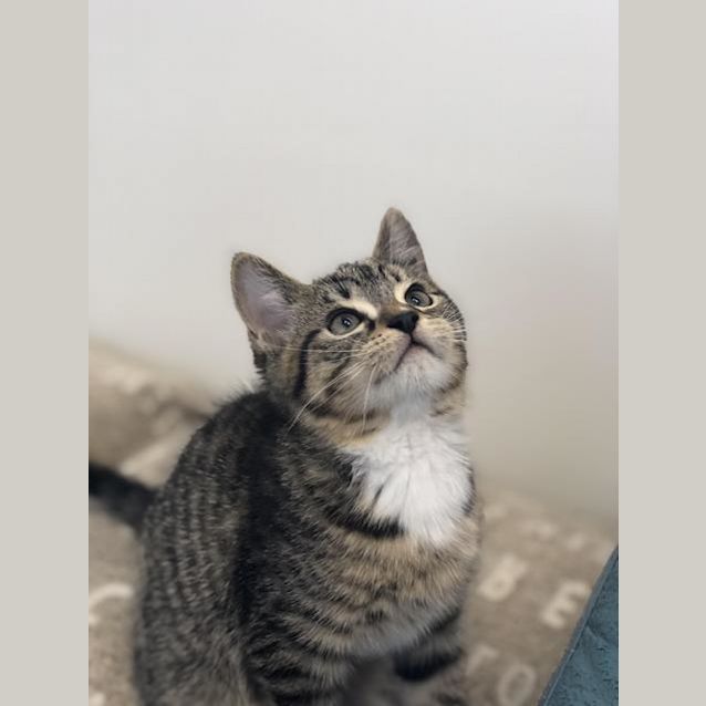 Photo of Crumble
