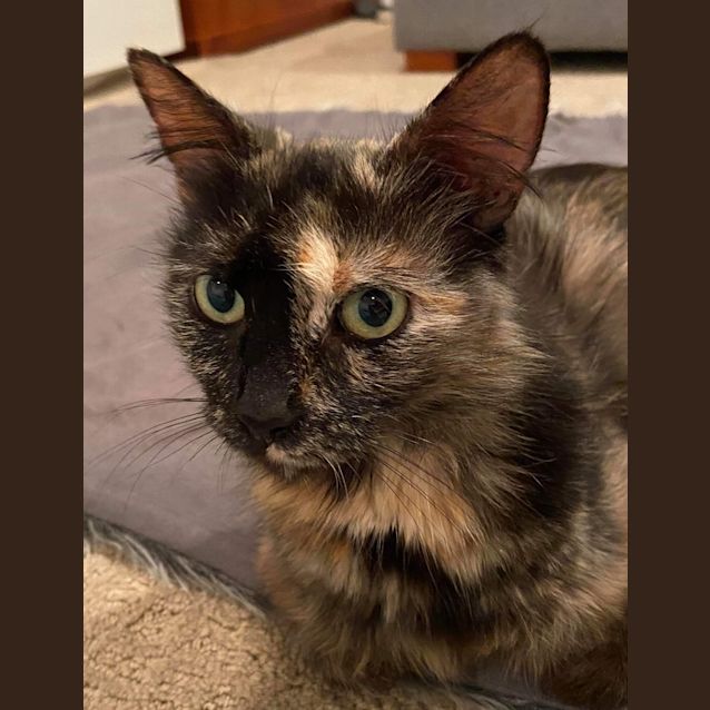 Photo of Maeve ❤