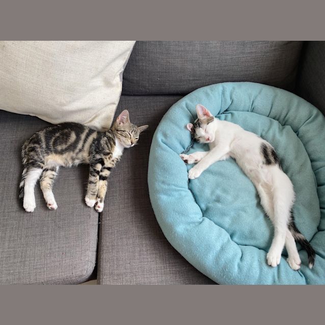 Photo of George & Nori