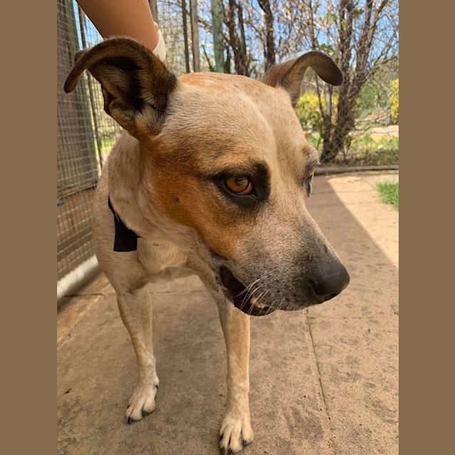 Photo of Sarah Dl2367