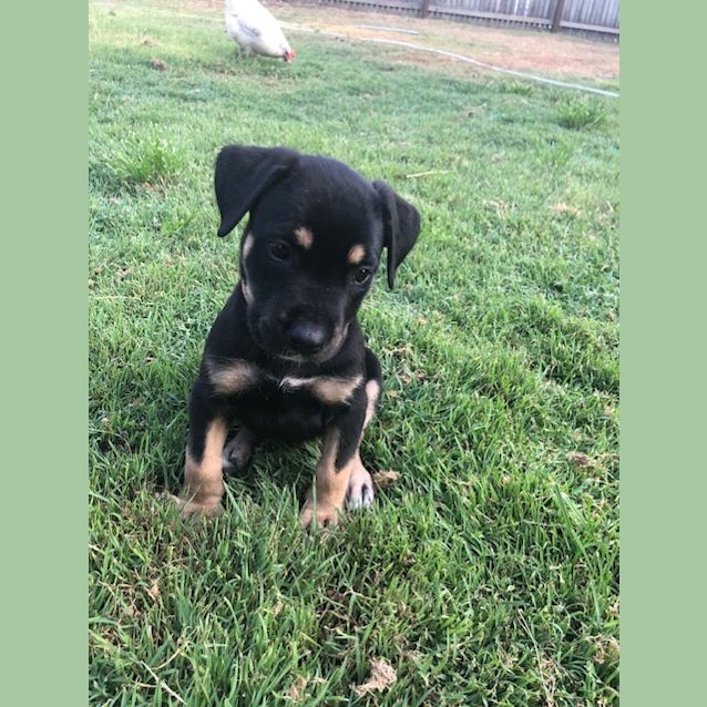 Photo of Spark 